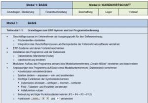 ERP-ZERT Lerninhalte Bild
